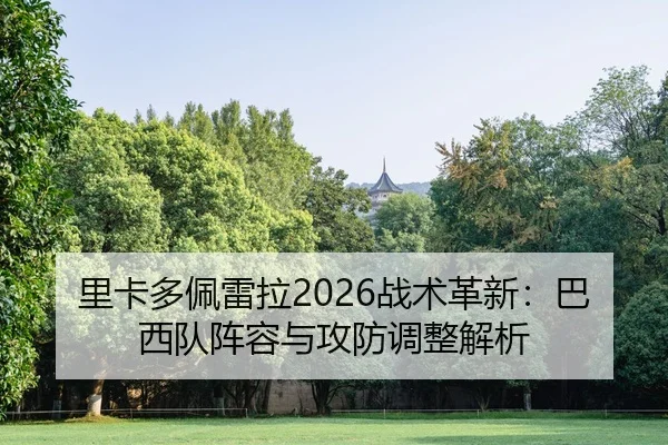 li-ka-duo-pei-lei-la-zhan-shu-ge-xin-ba-xi-dui-zhen-rong-yu-gong-fang-tiao-zheng-jie-xi-2-837.jpg